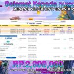 BUKTI JACKPOT SLOT WILD BOUNTY SNOWDOWN TERPERCAYA DI INDONESIA TGL 19-07-2024